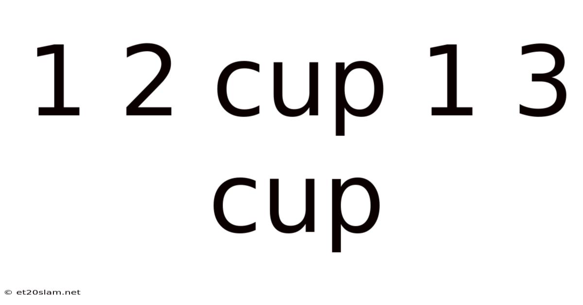 1 2 Cup 1 3 Cup