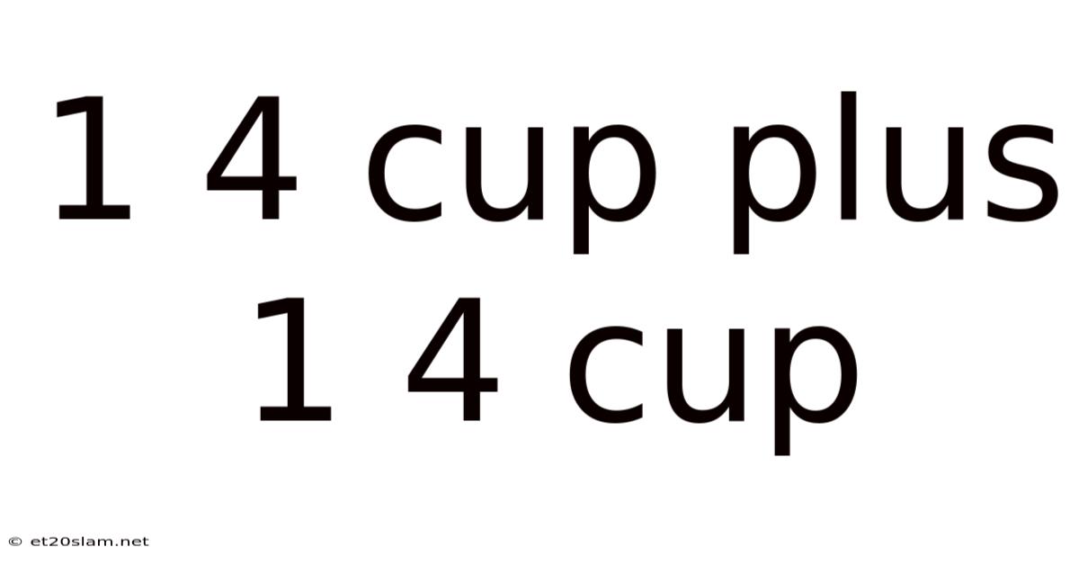 1 4 Cup Plus 1 4 Cup