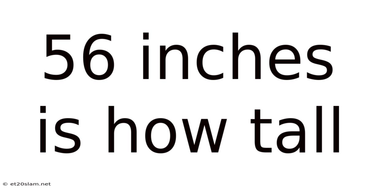 56 Inches Is How Tall