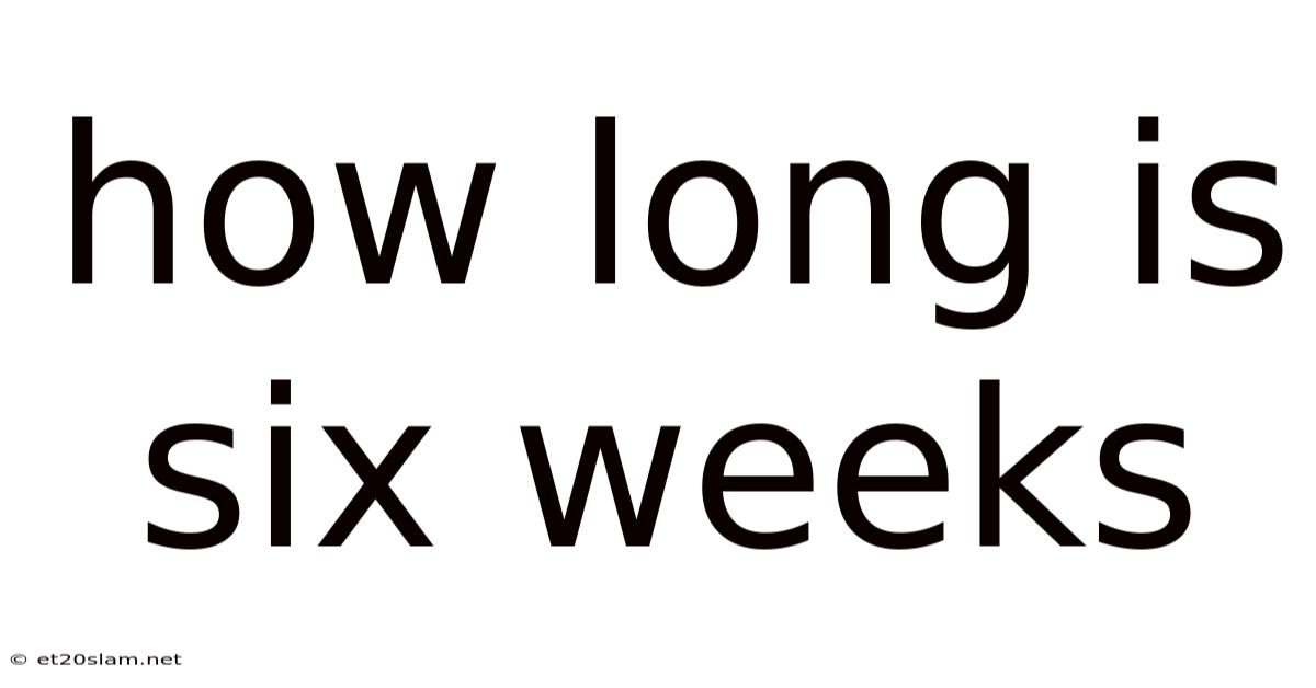 How Long Is Six Weeks