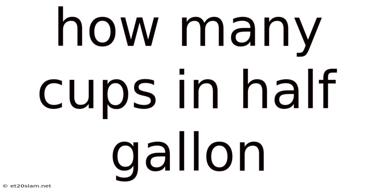 How Many Cups In Half Gallon
