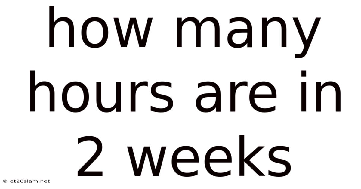 How Many Hours Are In 2 Weeks