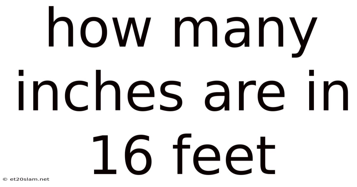 How Many Inches Are In 16 Feet