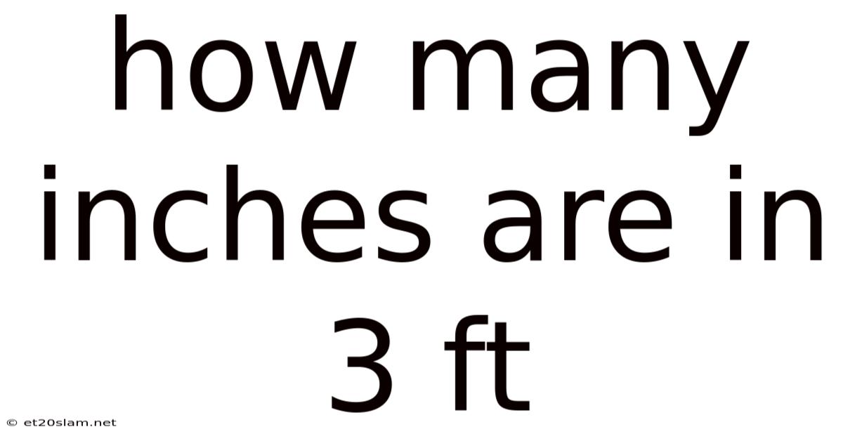 How Many Inches Are In 3 Ft
