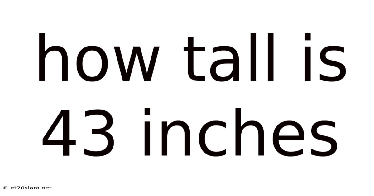 How Tall Is 43 Inches
