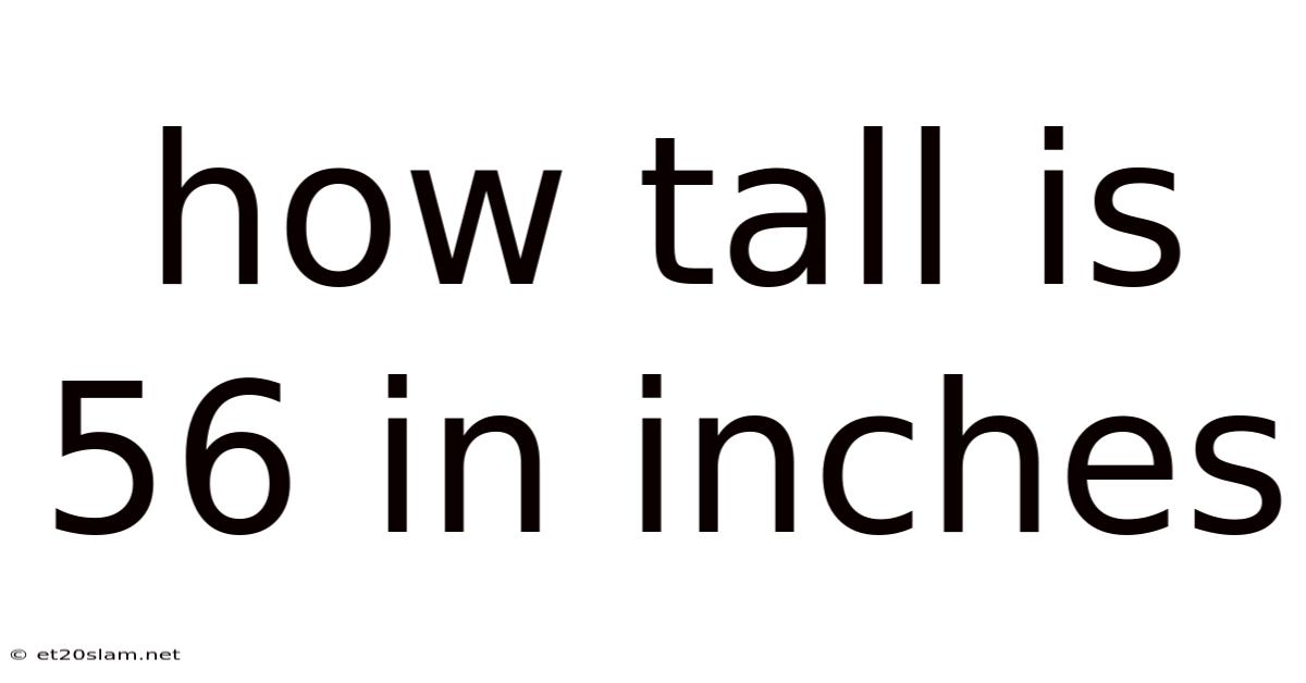 How Tall Is 56 In Inches