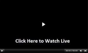 Watch live cricket sales streaming online